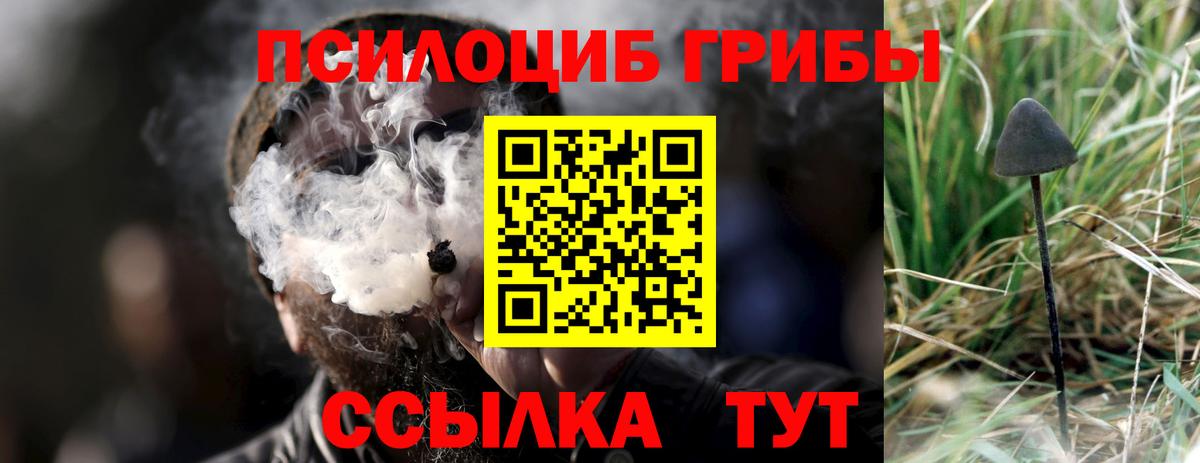 Псилоцибиновые грибы GOLDEN TEACHER Медногорск