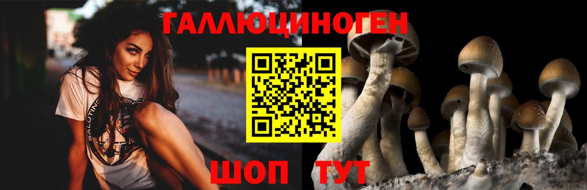 Псилоцибиновые грибы Magic Shrooms  Вход с VPN  Медногорск 